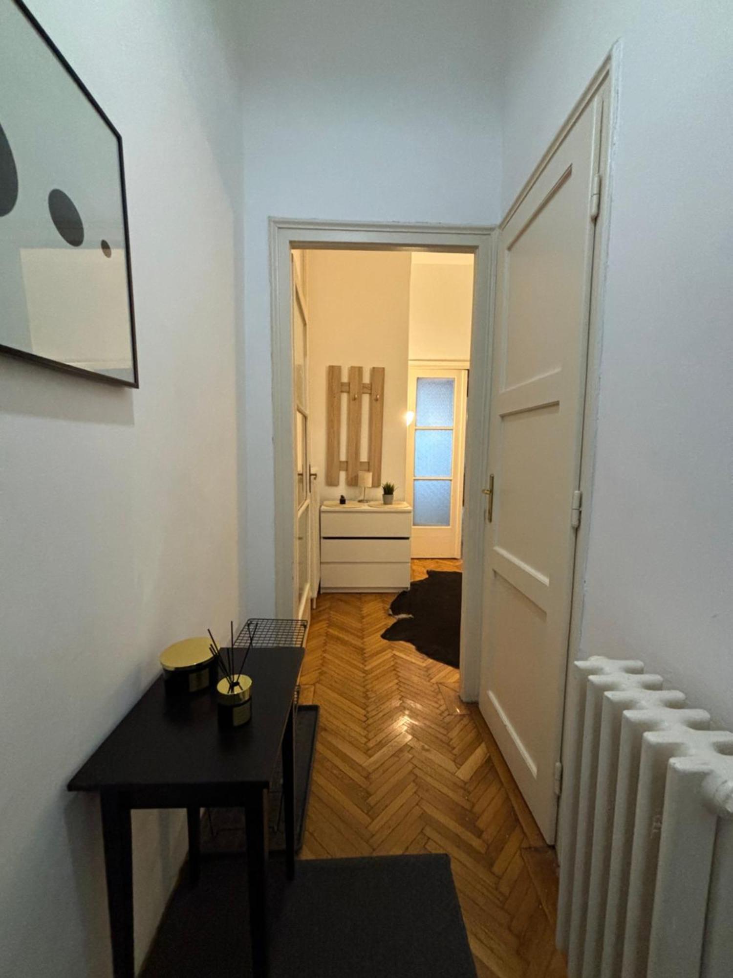Central Apartment Next To The Elisabeth Bridge Budapest Eksteriør billede